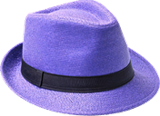 Hat for the role Inspector