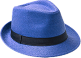 Hat for the role Negotiator